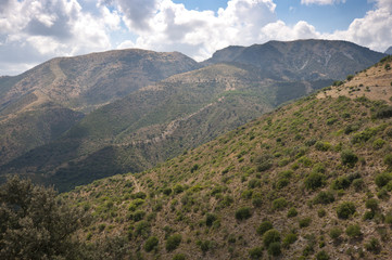 Fototapeta na wymiar Mediterranean forest in Grazalema Natural Park, Andalusia, Spain