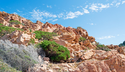 Fototapeta premium gallura orange rocks