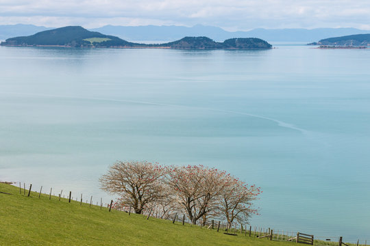 view of Pakihi Island with Coromandel in background