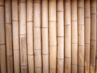 Fototapeta premium Bamboo Background