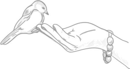 Vector illustration of a hand with a bird sitting on it