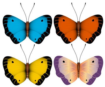 vector illustration. Multi-colored butterflies isolated on a