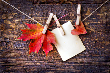 Autumn leaf and heart over wooden background