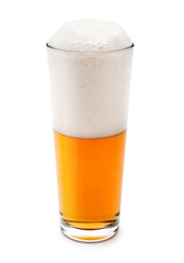 beer on white background