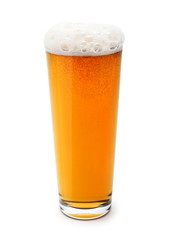 beer on white background