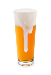 beer on white background