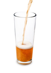 beer on white background