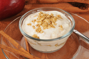 Apple cinnamon yogurt