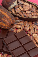 Schokolade mit Kakaobohnen