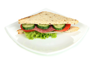 Tasty sandwich with salami sausage and vegetables