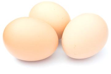 Group of egg