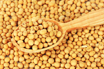 Soy beans close-up
