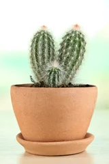 Foto op Plexiglas Cactus in pot Beautiful cactus in flowerpot on wooden table