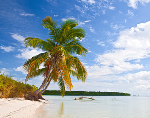 Fototapeta na wymiar Summer at a tropical paradise in Florida Keys, USA