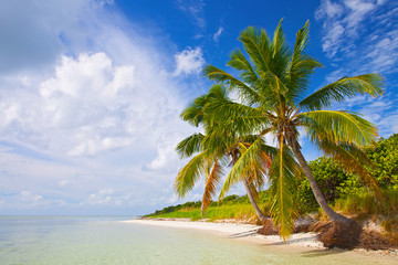 Summer at a tropical paradise in Florida Keys, USA