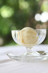 vanilla ice cream