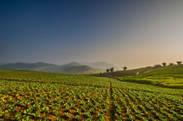 Beautiful landscape panorama