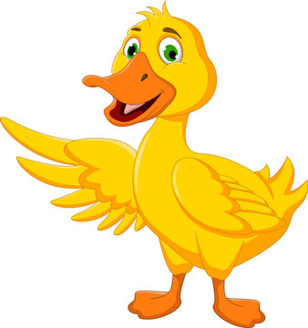 cute duck cartoon posing