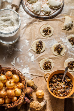 Fresh ingredients for dumplings with mushrooms