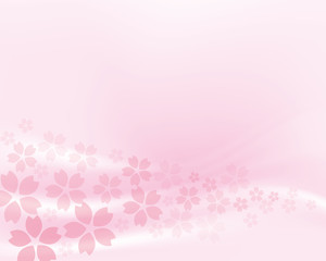 Fototapeta na wymiar cherry blossom flowers background & 桜満開 シルク