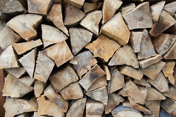 Detail of deposited wooden logs