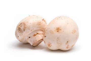 Two champignons isolated on white