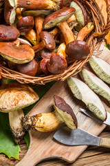 Preparing wild mushrooms frying in the forest