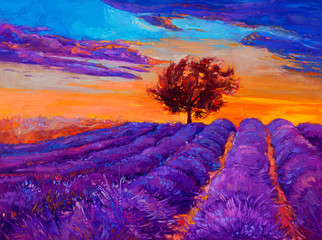 Lavender fields