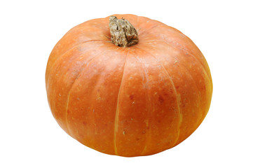Pumpkin isolated