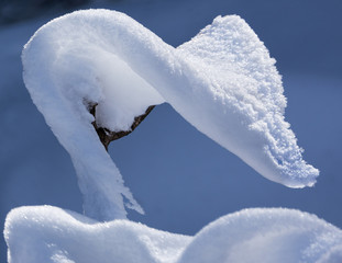 Wind and sun has formed interesting Snow Cobra after a blizzard