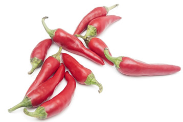 Hot red chili or chili pepper on white background