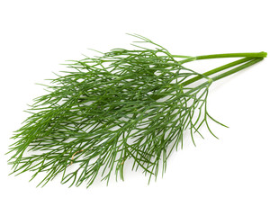 dill
