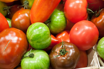 Green and red varieties of tomatoes 