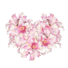 The beautiful abstract flowers Heart of the petals pink lily.