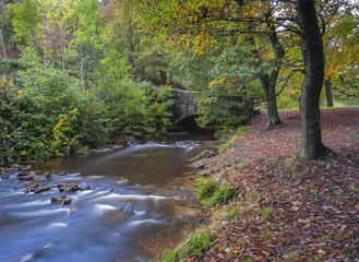 Naklejka premium old packhorse bridge over woodland stream in yorkshire