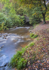 old stone bridge in yorkshire autumn woodland