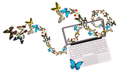 butterfly flying out from computer