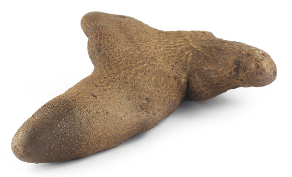 Air potato