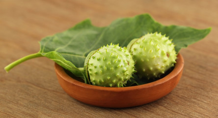 Medicinal Datura