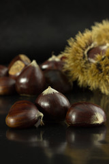 Ricci di castagna