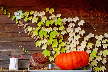 Herbstdekoration im Garten