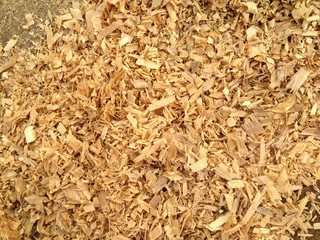 Sawdust textures background