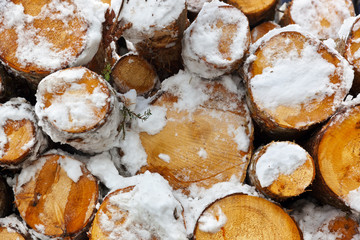 Firewood logs wood background