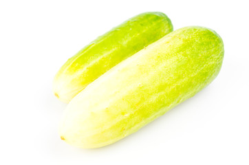 Cucumber