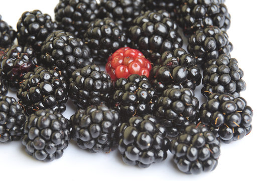 background blackberrys fruit and red berry