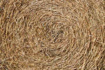 Texture of rick or straw.