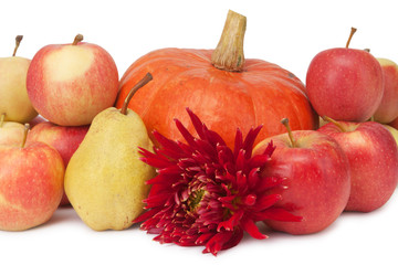 pumpkin