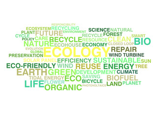 Ecology and sustainable development word cloud
