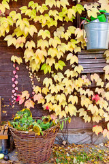 Romantischer Garten im Herbst