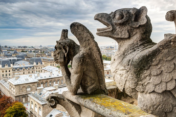 Chimeras (gargoyles) on Notre Dame de Paris cathedral, France